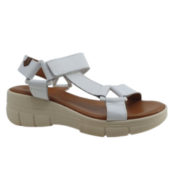 BOXER SHOES 98638