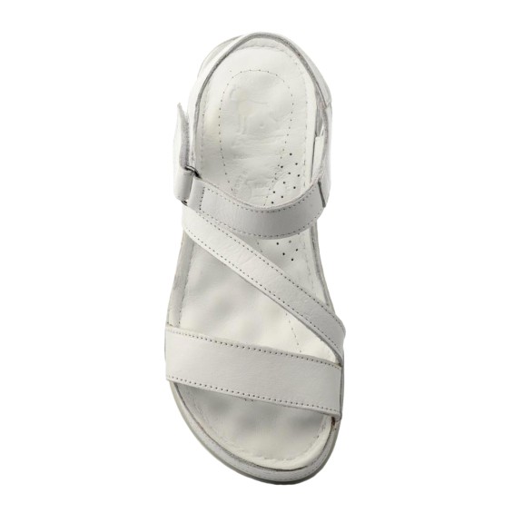 BOXER SHOES 98604